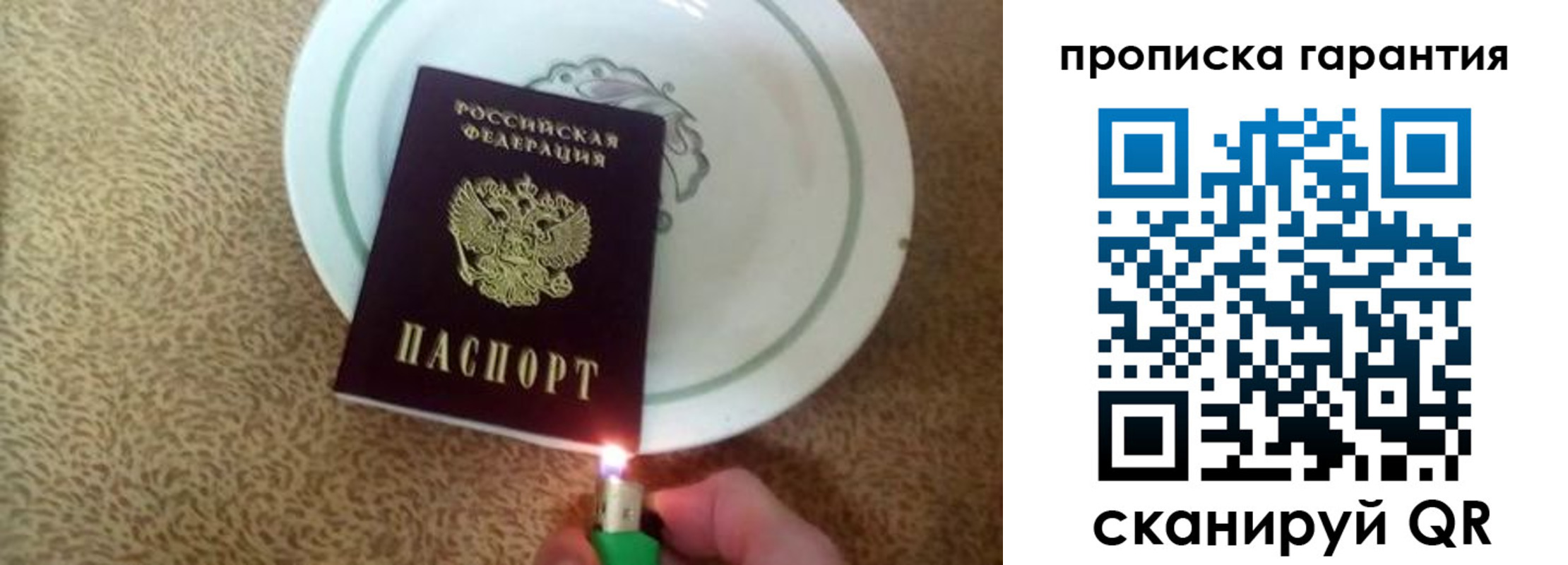 прописка гарантия в Московской области